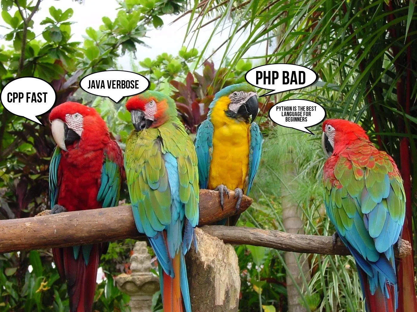 parrots